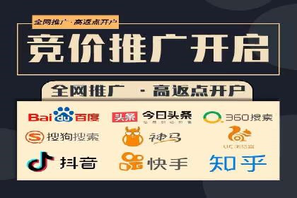 网络推广竞价策略解析与应用案例